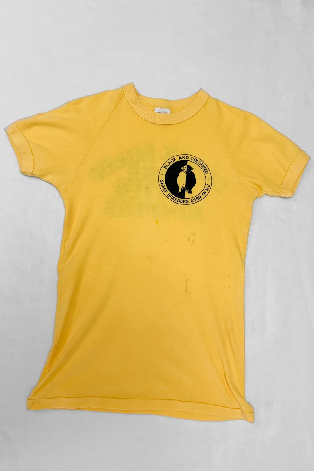 Retro Short-sleeve Ringer Tee (S)