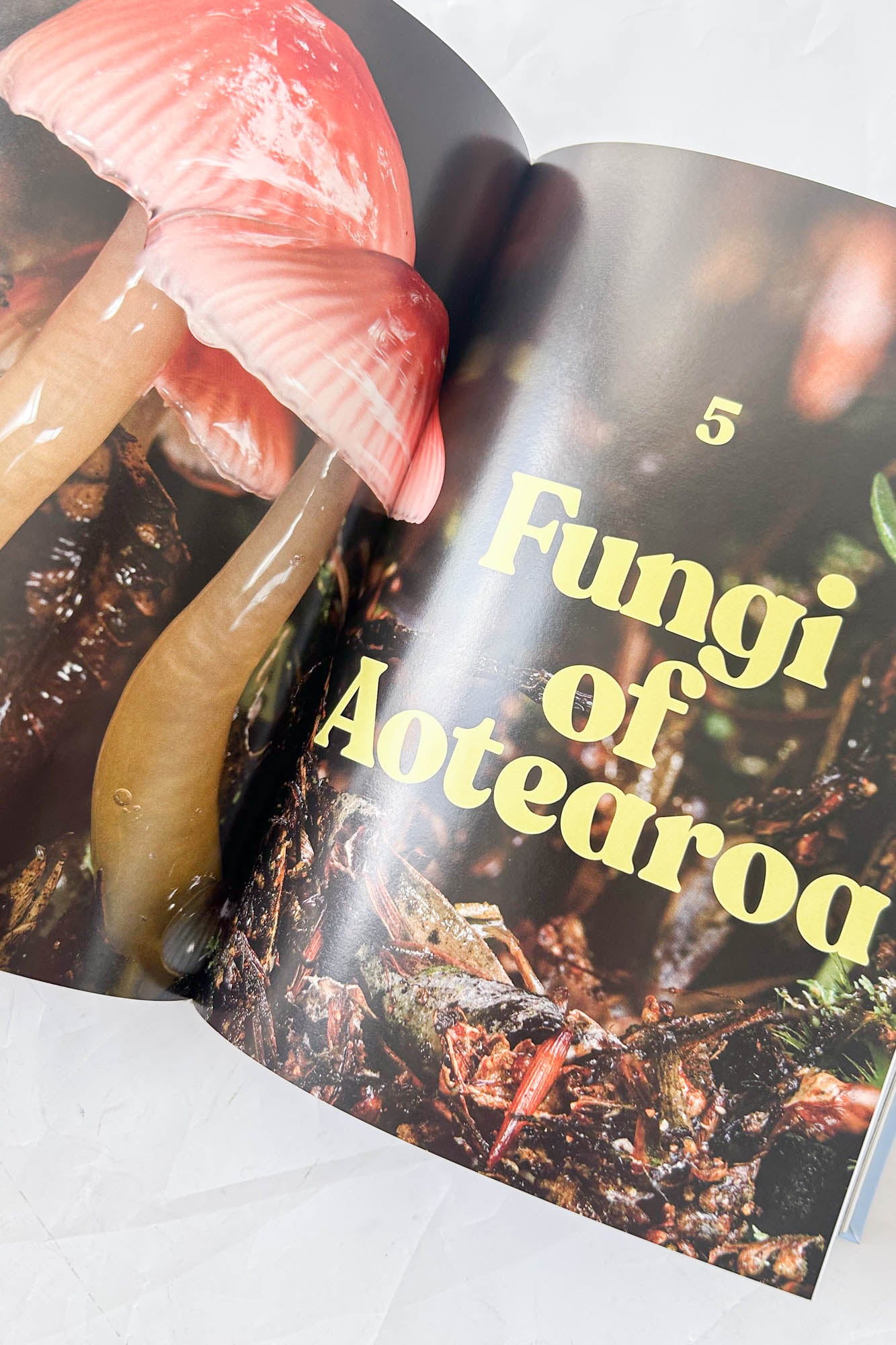 Fungi of Aotearoa