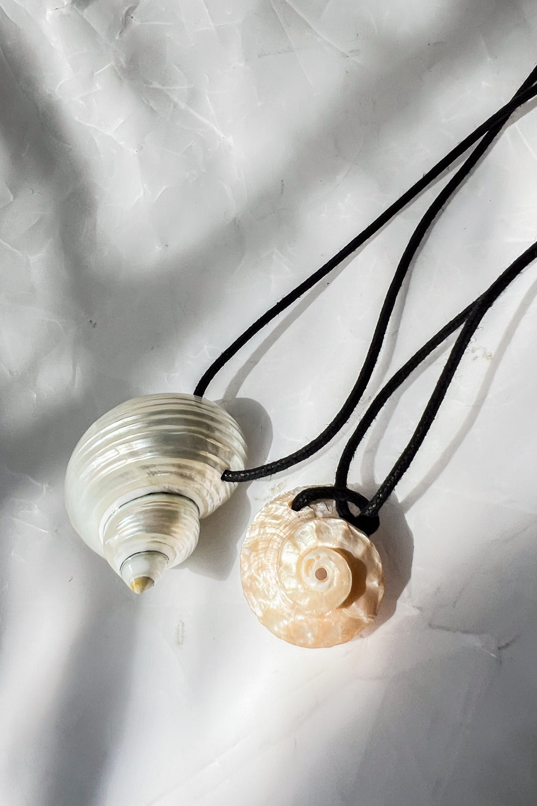 Turbo Shell Necklace