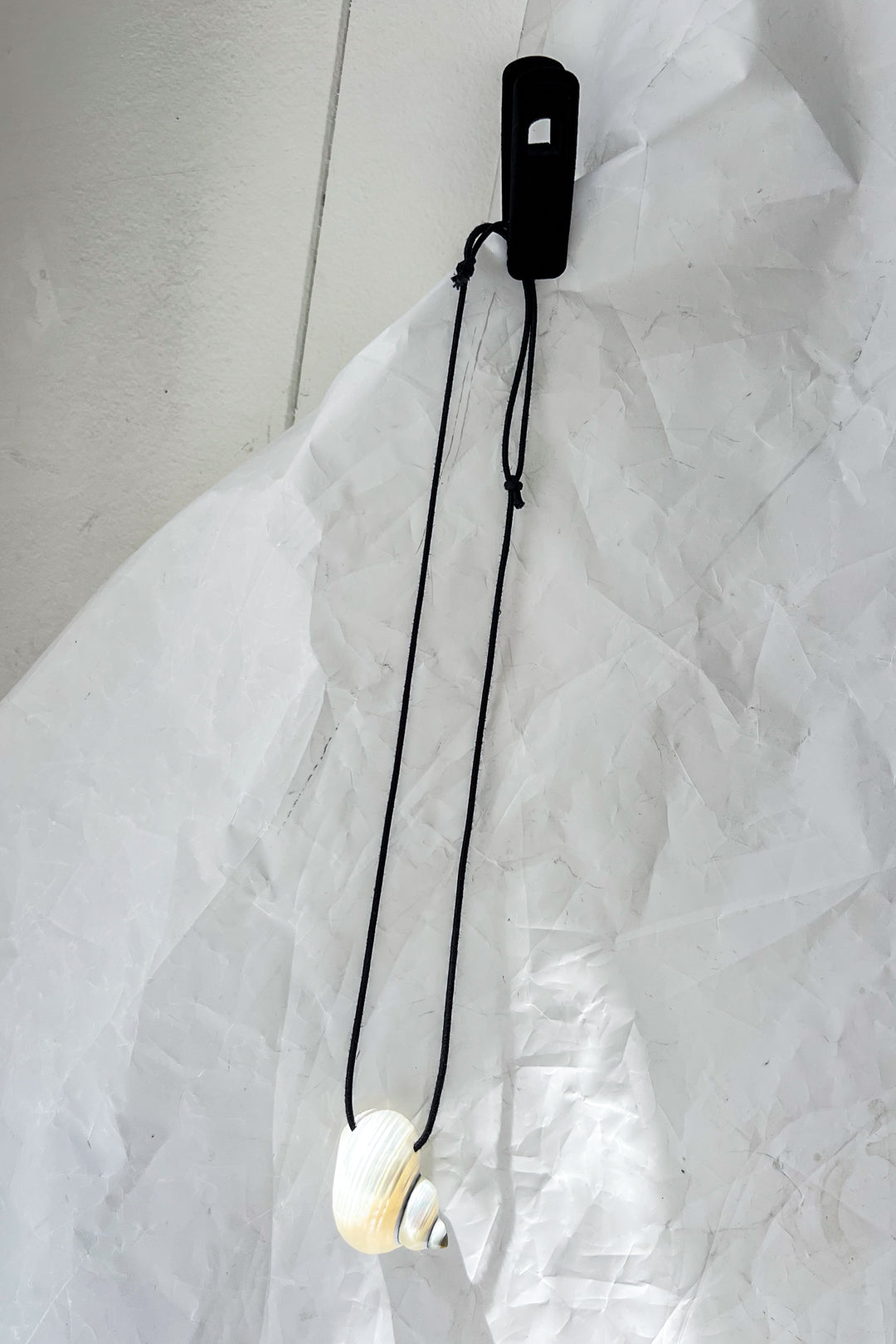 Turbo Shell Necklace