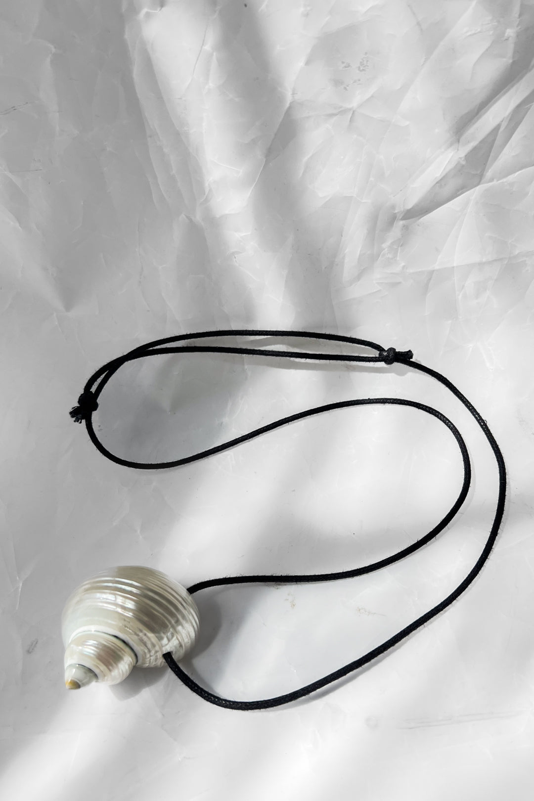 Turbo Shell Necklace