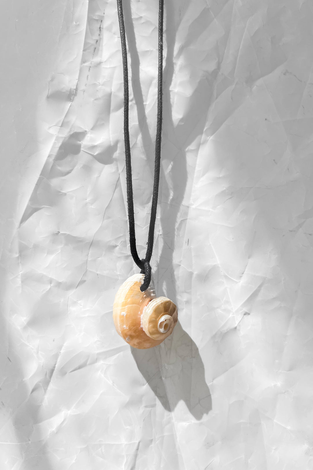 Spiral Shell Necklace