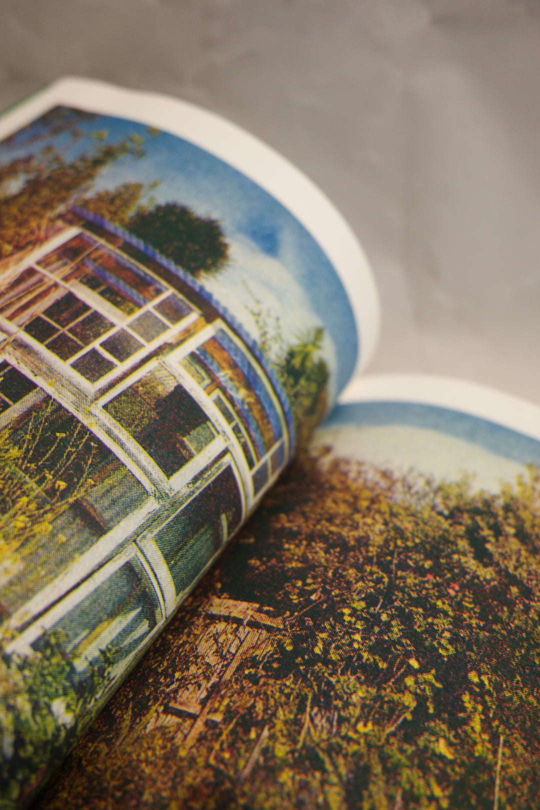 Urban Gardener Book