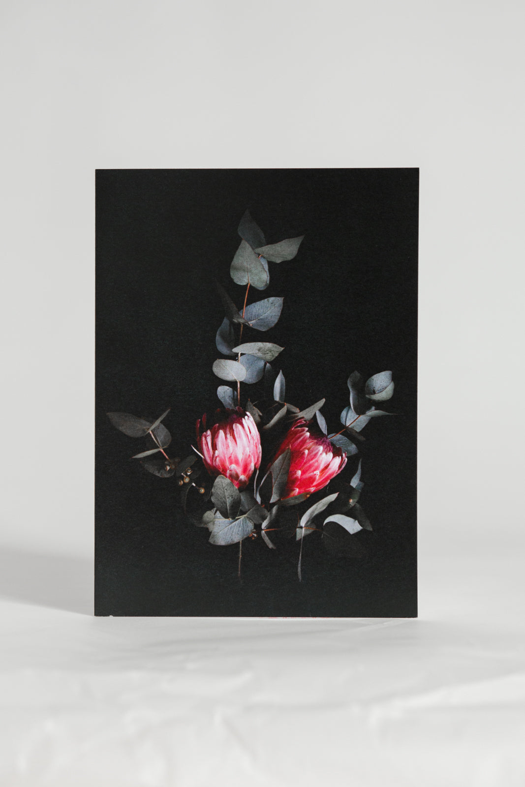 Double Protea Greeting Card