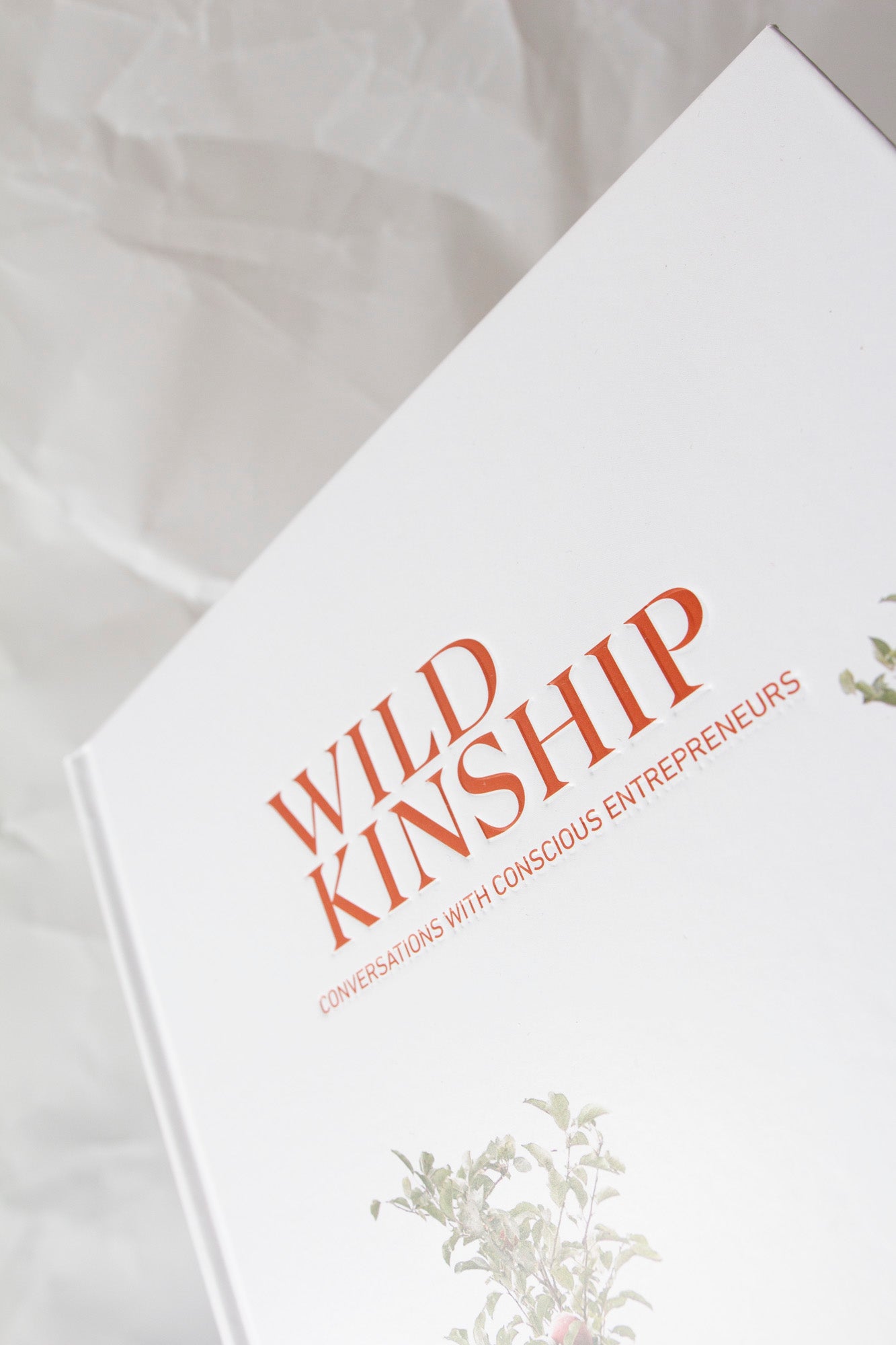 'Wild Kinship; Conversations With Conscious Entrepreneurs' by Monique Hemmingson