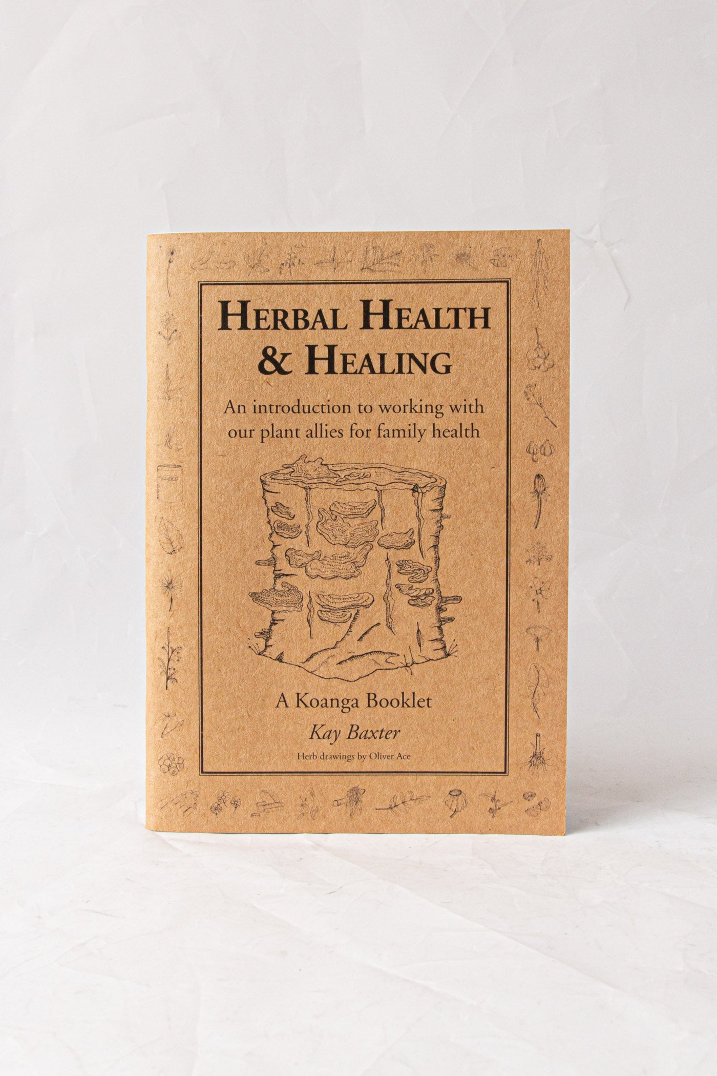 Herbal Health and Healing Booklet